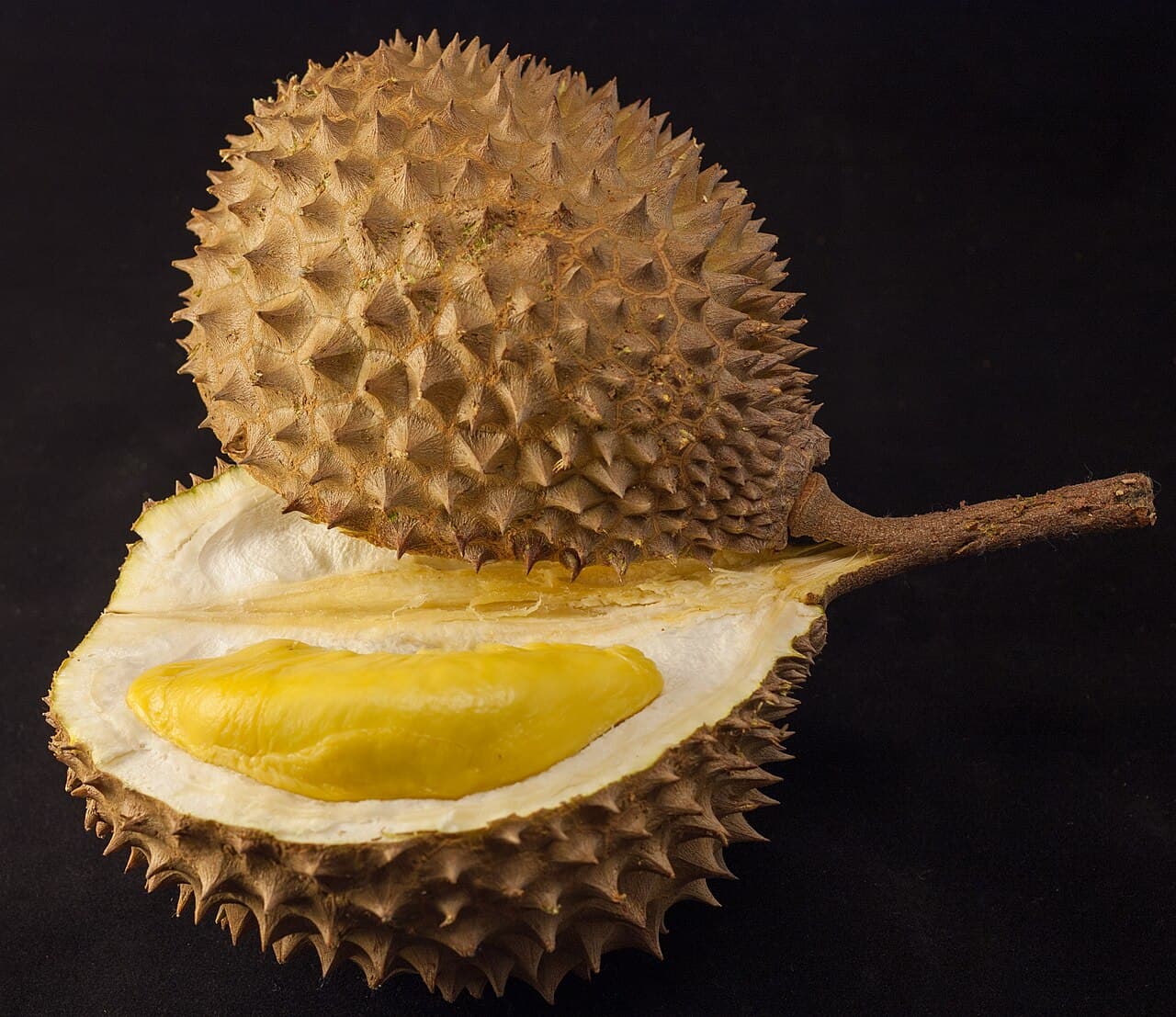 Sầu Riêng Ngon Liên Minh - Đan Phượng